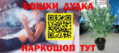 бошки Нягань