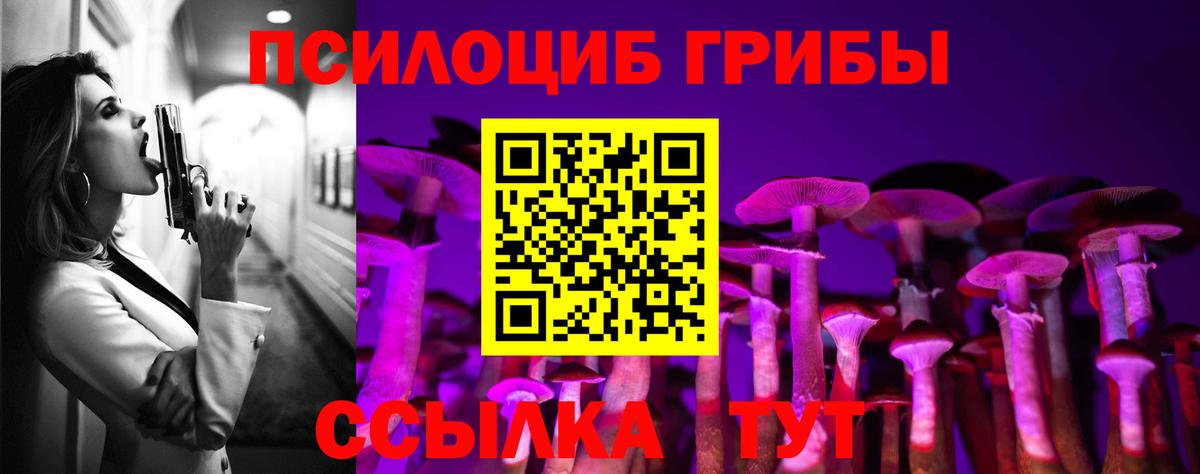 Усть-Джегута  Псилоцибиновые грибы Magic Shrooms  Вход с VPN 