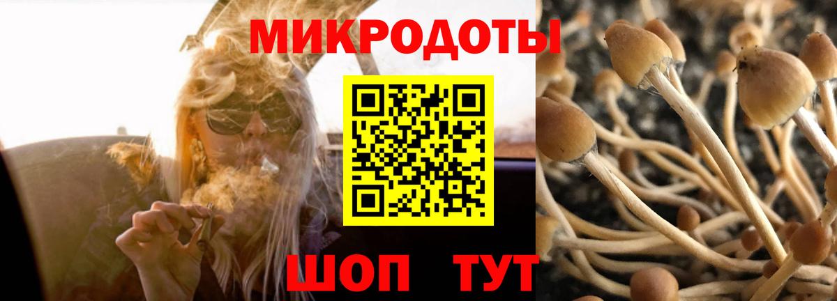 Псилоцибиновые грибы ЛСД Усть-Джегута